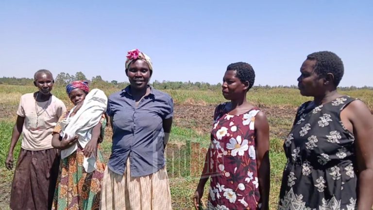 Women farmers 